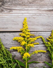 Bright yellow wildflowers arranged artistically on weathered gray wooden planks create a beautiful natural scene.