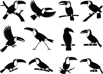 Silhouette illustration of toucan birds sitting on branches, flying, standing, tropical exotic bird vector design, wildlife nature concept, jungle rainforest animal art