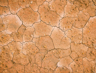 cracked dry earth
