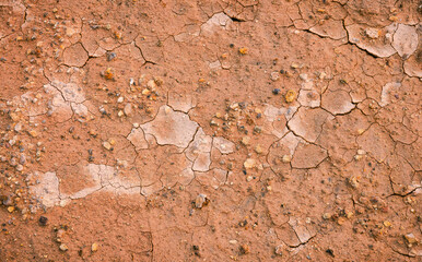 cracked dry earth