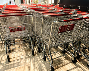 Shopping carts in supermarket parking area