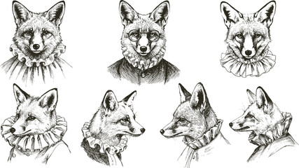 Vector vintage collection of a gentleman fox heads. Set of beautiful sketches of clever cunning animal in retro black and white style.