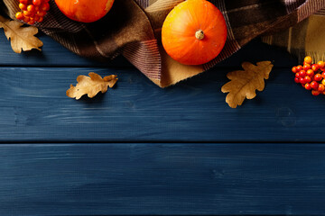 Flat lay with pumpkins, oak leaves, berries, and plaid blanket on dark blue wood. Cozy autumn composition with warm colors, perfect for seasonal design and Thanksgiving holiday.