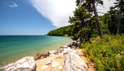 Lakeside scenery with rocks and trees