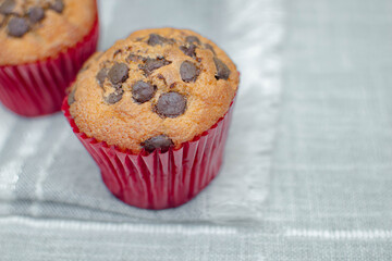 Imagen horizontal de un delicioso panque de chocolate