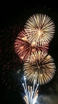 Spectacular Fireworks Display: Night Sky Celebration