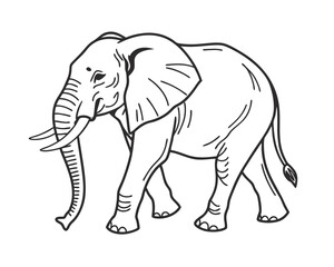 African Elephant Line Art Illustration Majestic Creature in Black and White Walking Gracefully Strong Symbol of Wildlife Conservation