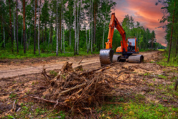 Excavator clearing forest for new development. Orange Backhoe modified for forestry work. Tracked...