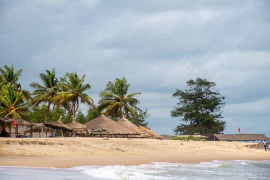 tropical beach with palm trees