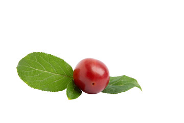 Red plum with green leaves, PNG, isolated on transparent Background