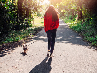 Girl with small cute Yorkshire terrier on a walk in a summer park. Model wears red jacket and has...