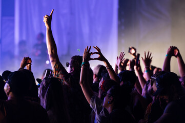 Fans with hands in the air at a music festival