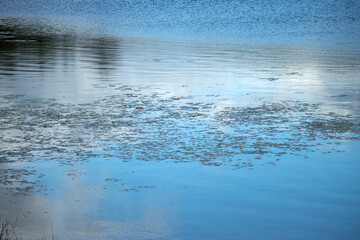 blue water reflection