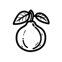 Vector illustration of a fresh guava fruit with leaves drawing for healthy food and nutrition content