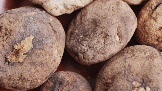 Black and White chunos potatoes from Peru, chuno food from potato, bolivian peruvian traditional dish. 