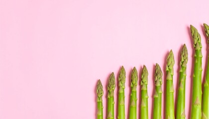 Fresh asparagus spears arranged on a pink background (1)
