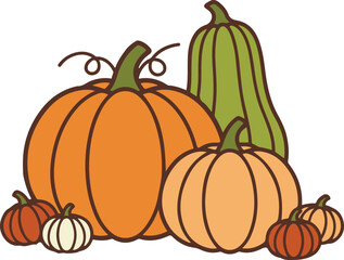 Vector illustration of pumpkins and squash in autumn harvest theme, cartoon style,