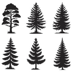 Obraz premium Black Silhouette Pine and Fir Trees Set – Evergreen Forest Vector Illustrations