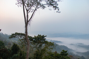 Natural green hills of Sajek Valley providing fresh air and peaceful mountain experience.