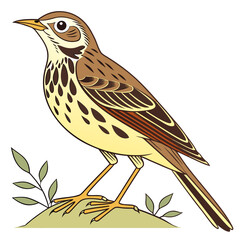 Meadow pipit standing on a small mound with leaves