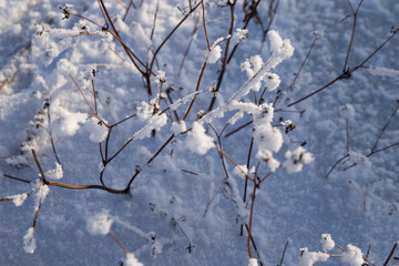 texture of cold winter snow