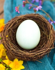 Light blue egg in a bird's nest, surrounded by flowers