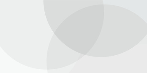 White geometric abstract background overlap layer on bright space with lines effect decoration. Modern graphic design element circles style concep background