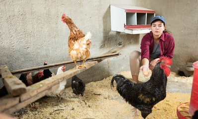 Young slovenian female farmer feeding hens