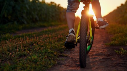 Child rides bicycle, close-up. Child legs spin pedals. Kid rides into sunset, spinning bicycle...