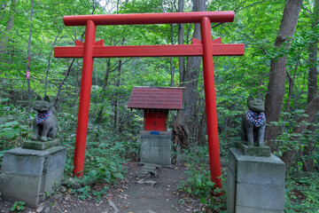 Ancient stone shrine in Maruyama mountain Sapporo Japan 