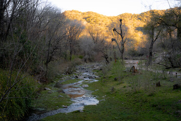 Cordoba&acute;s Sunset