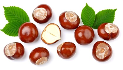 Fresh chestnuts with leaves