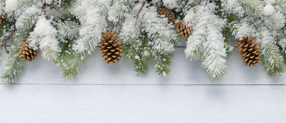 Fir Branches with Snow and Pinecones