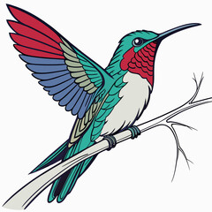 Obraz premium Hummingbird with spread wings, perched on a branch