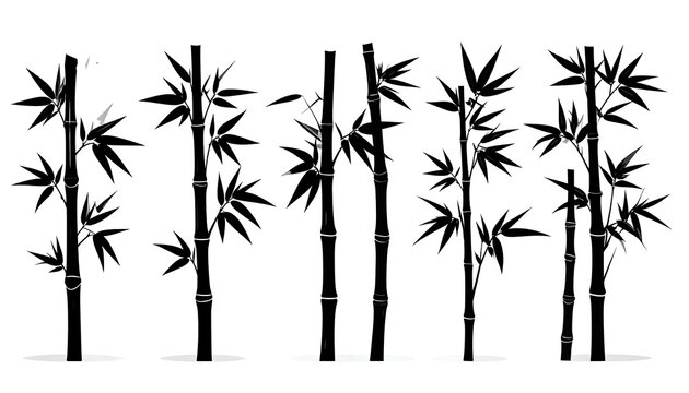 Silhouettes of various bamboo stalks with leaves