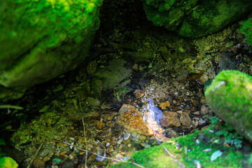 A small stream of water is surrounded by rocks and moss