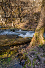 Greer Spring Golden Hour