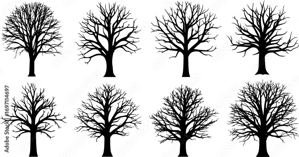 Poster silhouette of dead tree – vector illustration of leafless tree and bare branches on white background