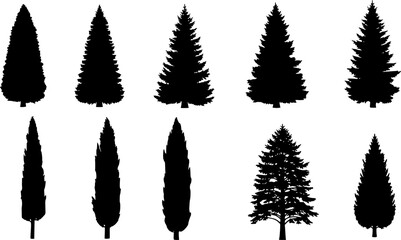 Fototapeta premium Silhouettes of Fir and Cypress Trees – Vector Collection of Various Tree Shapes Isolated on White Background