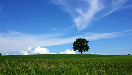 Majestic tree standing solitary against vast blue sky on green landscape