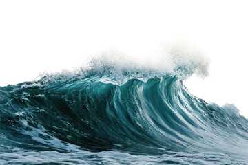 Crashing ocean wave with green water isolated on transparent background. Dynamic wave of sea water isolated on white background.