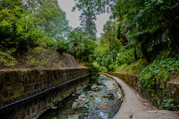 Walking path beside thermal stream in Termal