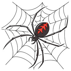 redback-spider---colour-color-design-and-white-bac (1)