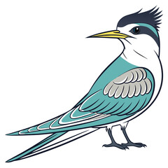 Obraz premium Elegant crested tern illustration in vector format