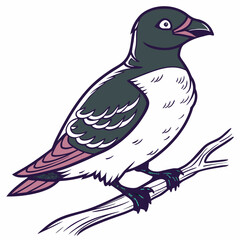 Obraz premium Illustration of a auklet bird