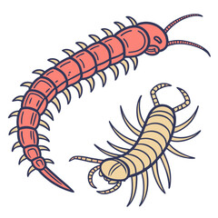 Two centipede, vector illustration, cartoon style