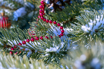 Red beaded garland on snowy pine branch. Christmas tree decoration with natural elements. Winter holiday festive ornament.