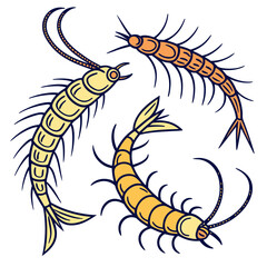 Three colorful centipedes