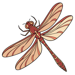 Dragonfly illustration in vector format