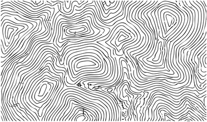 Fototapeta premium Vector Abstract flowing lines create a topographic map .